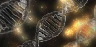 Biotecnologie e competenze informatiche