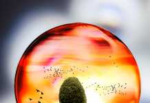 Internet of Things e Sostenibilità