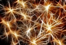 PTC e Microsoft supportano i clienti nell’accelerazione del passaggio all’IoT