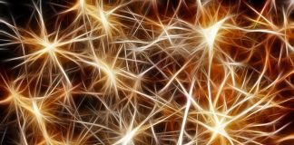 PTC e Microsoft supportano i clienti nell’accelerazione del passaggio all’IoT