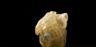 STRATASYS PRESENTA LA STAMPANTE 3D DIGITAL ANATOMY