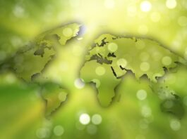 L’Importanza dell’Agenda 2030 per l’Industria