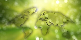 L’Importanza dell’Agenda 2030 per l’Industria