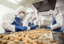 Soluzioni per Food&Beverage Siemens: provale ora