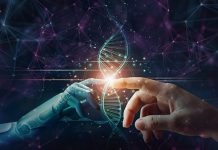 Quanto investire in Intelligenza Artificiale per non perdere competitività? I dati CIO 2026 indicano la direzione
