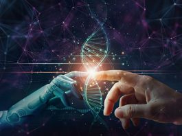 Quanto investire in Intelligenza Artificiale per non perdere competitività? I dati CIO 2026 indicano la direzione